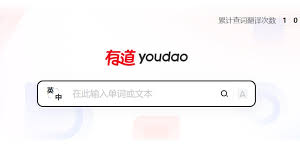 怎样用有道翻译词典辅助海淘国外的精酿啤酒?