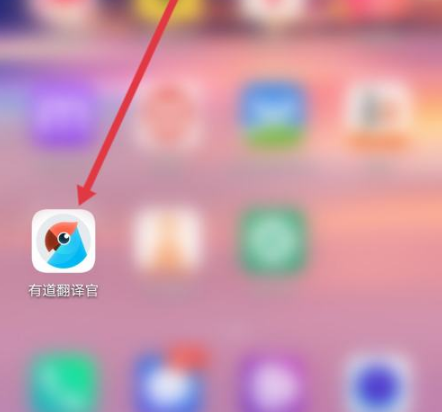 有道翻译词典的“拍照翻译”支持识别淘宝商品详情吗？