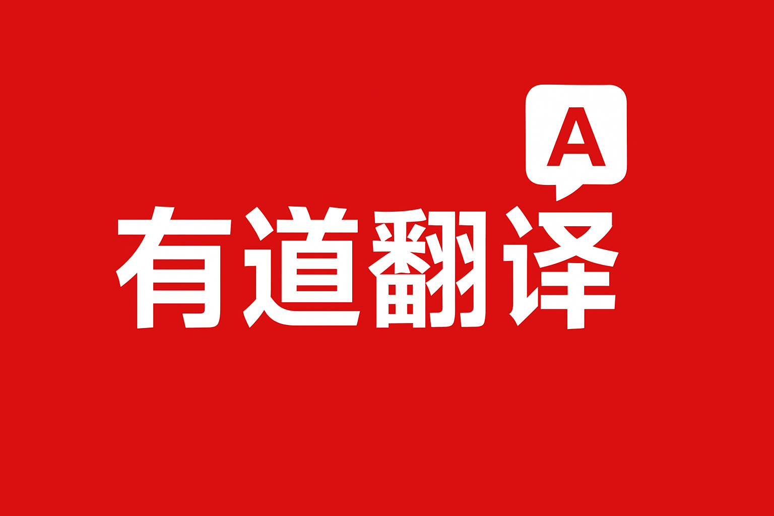 2026年有道翻译词典支持翻译Airbnb房东的入住指南吗？